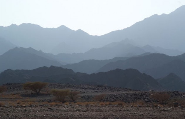 ½ Day Safari to Jebel Harim
