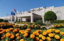 Golden Tulip