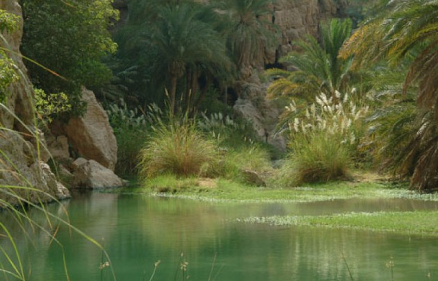 Wadi Abyadh und Wekan