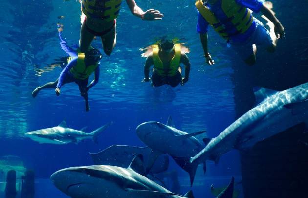 The Lost Chambers - Aquaventure