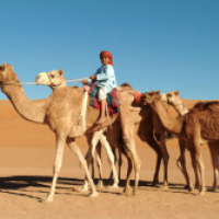 Von Dubai nach Maskat