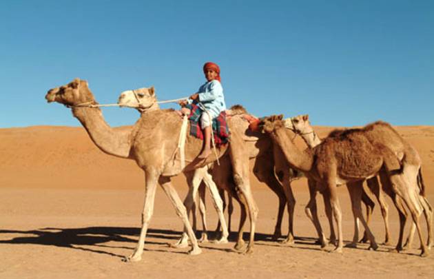 Von Dubai nach Maskat