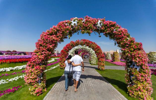 Miracle Garden