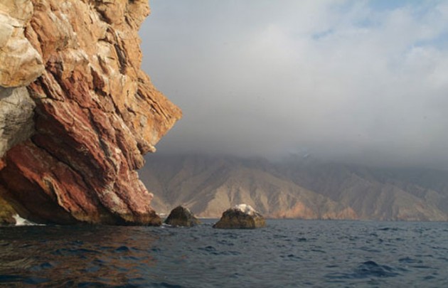 Dhowcruise in Khor Shimm