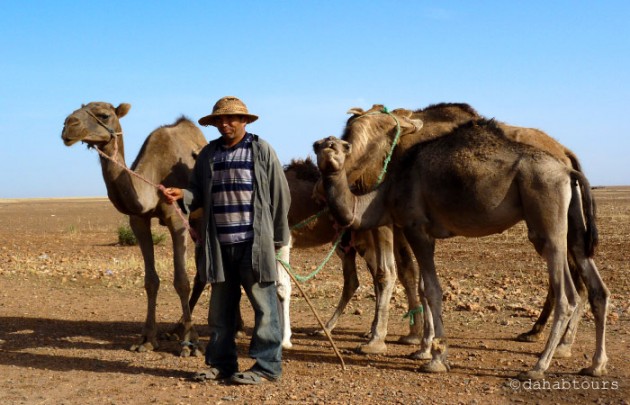 Ausflug zum Tor zur Wüste: Ouarzazate