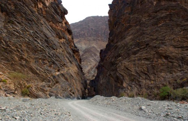 Mountain Safari Jabel Harim