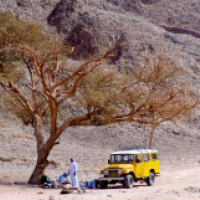 Sinai-Halbinsel Safari