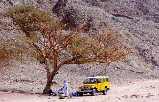 Sinai-Halbinsel Safari