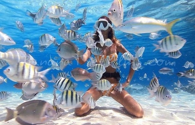 Mahmya Insel - Schnorchelausflug