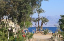 El-Waha Village