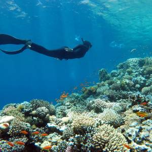 Beleuchtete Poollandschaft im Hotel Albatros Garden Resort