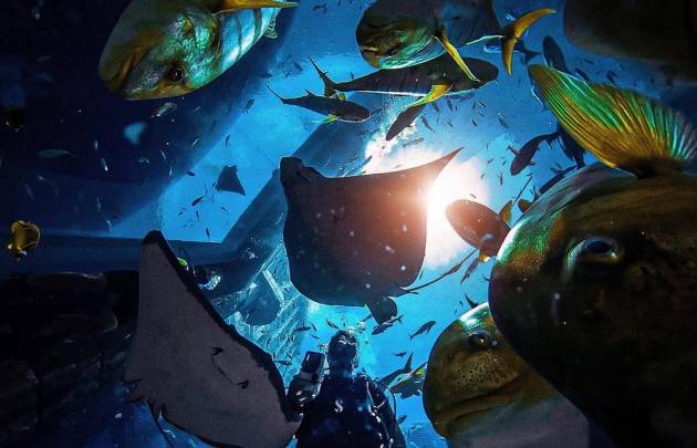 The Lost Chambers - Aquaventure