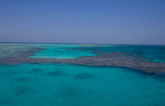 Naturschutzgebiet Sharm el Naga 