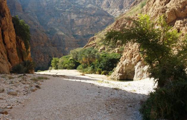 Wandern im Wadi Shab