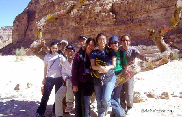 Sinai Safari Tour 2004