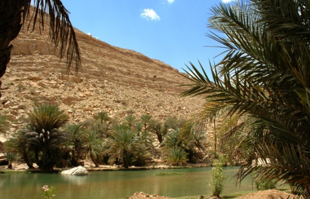 Wadi Abyadh und Wekan