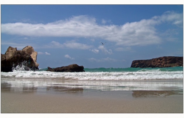 Wadi Shab - Küstentour 