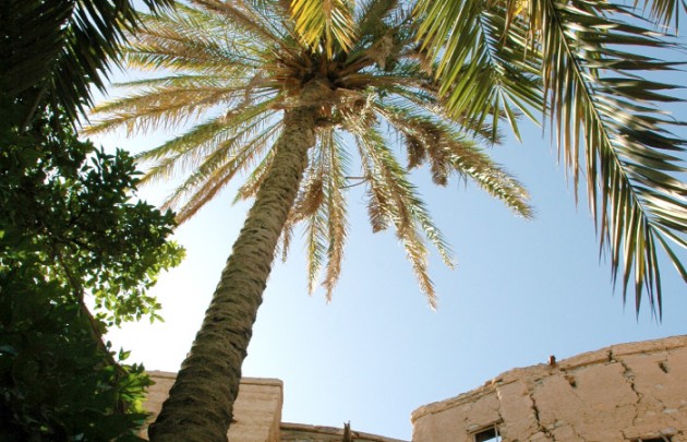 Barka – Nakhal  – Rustaq – Al Hazm – Al Musanaah - Maskat