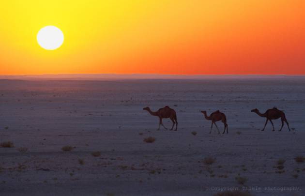 4 Tage Trip Nizwa - Wahiba - Sur