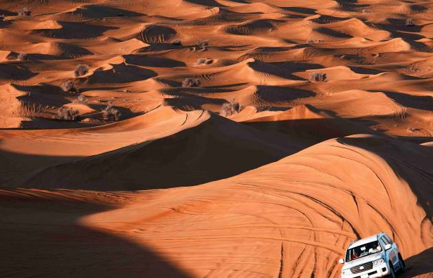 Dune Dinner Safari